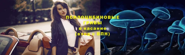 mix Белокуриха