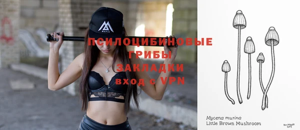 mdpv Беломорск