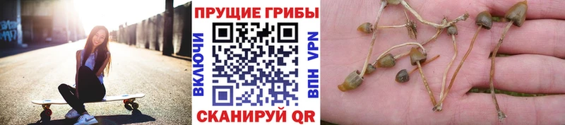 Галлюциногенные грибы мухоморы купить Маркс